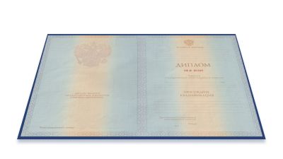 Диплом бакалавра 2011-2013