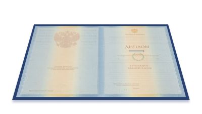 Диплом специалиста 2009-2010